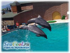 Аквапарк и дельфинарий в Адлере (Сочи)