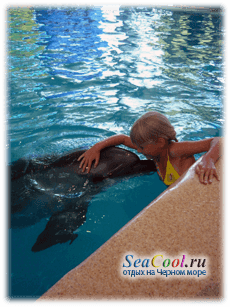 Дельфинотерапия в дельфинарии Партенита